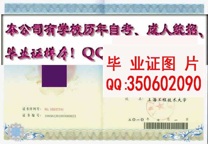 上海工程技术大学毕业证样本